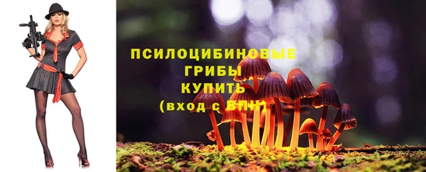jwh Богданович