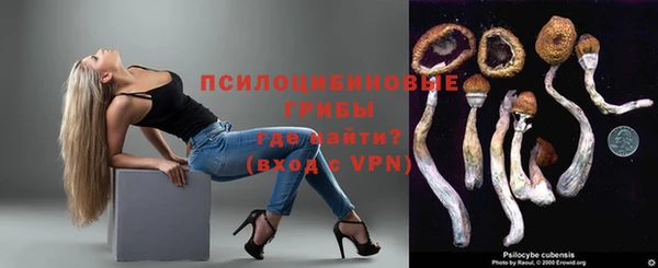 мдпв Беломорск