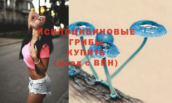 мдма Богородицк