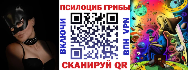 где продают   Волчанск  MEGA маркетплейс  Галлюциногенные грибы Cubensis 